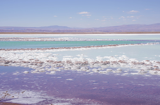 We headed to the Cejar and Piedra Lagoon where we floated in the diluted brine of the Lagoon. Saltier than the dead sea.