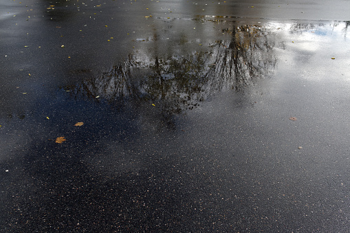 Autumn, background: trees are reflected in a puddle