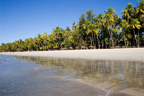 istock A beautiful tropical beach with palm trees 182665461