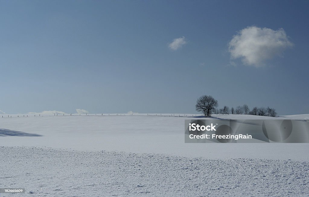 Zimą drzewa i chmury - Zbiór zdjęć royalty-free (Chłodny)