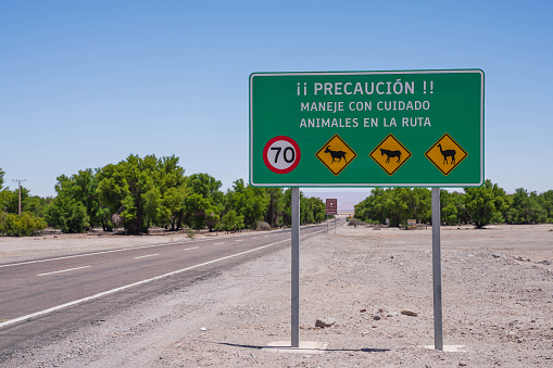 Wildlife protection sign on the road in San Pedro de Atacama Town, Chile