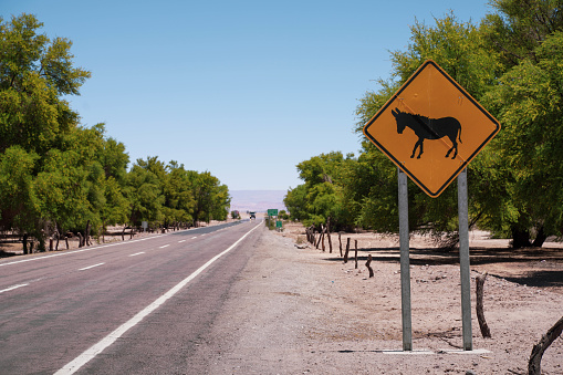 Wildlife protection sign on the road in San Pedro de Atacama Town, Chile