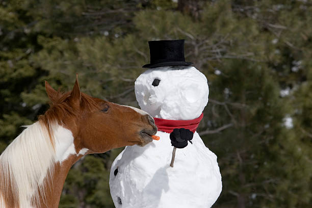 istock Hey that was my nose 182666059
