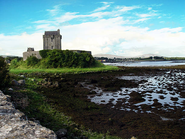 południowej irlandii - republic of ireland county limerick clover south zdjęcia i obrazy z banku zdjęć