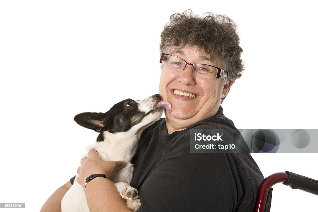 Senior  Woman and Dog A woman receives a kiss from a small dog. Senior Adult Stock Photo