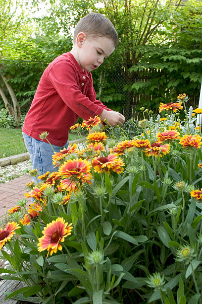 istock Boy in the garden 182666843