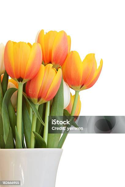 Tulipanes Foto de stock y más banco de imágenes de Arreglo floral - Arreglo floral, Cabeza de flor, Espacio en blanco