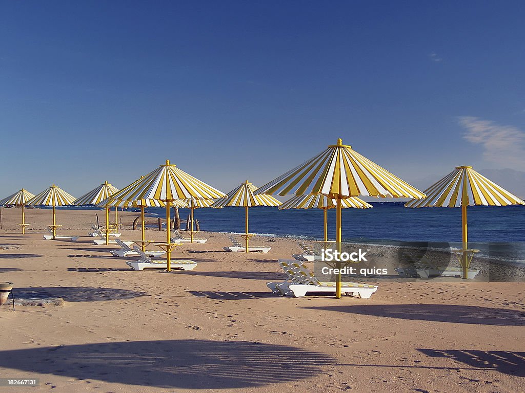 Solitario sulla spiaggia - Foto stock royalty-free di Particella