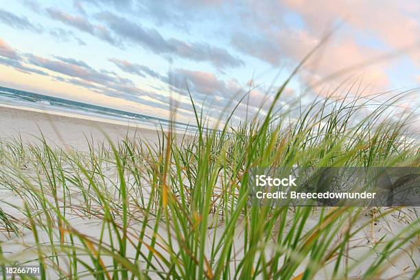 Foto de Praia Pitoresca V2 e mais fotos de stock de Areia - Areia, Beleza natural - Natureza, Broadbeach