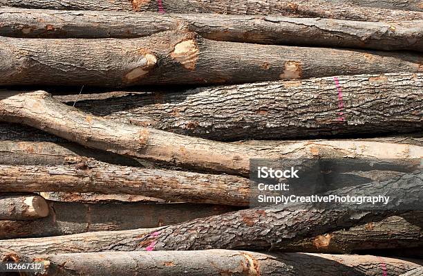 로그 배경기술 통나무에 대한 스톡 사진 및 기타 이미지 - 통나무, 0명, 건설 산업