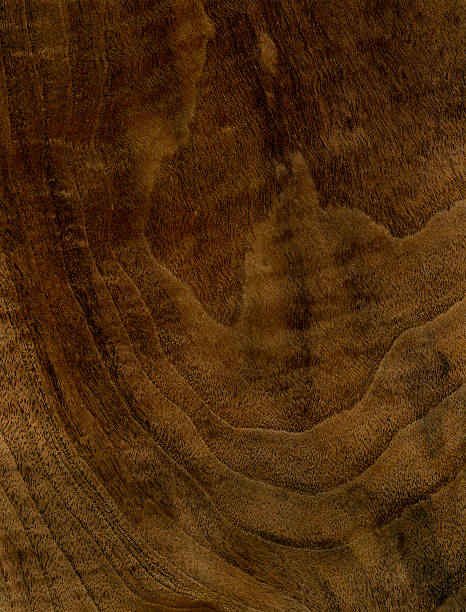 Wood Texture (Walnut tree) stock photo