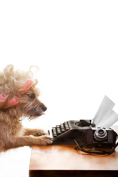 a young journalist writing and hoping to meet an impending deadline. you should get in close to see the expression on her face