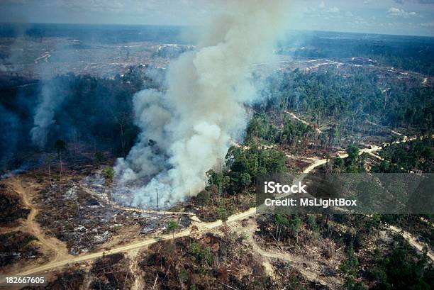 Treibhauseffekt Stockfoto und mehr Bilder von Abholzung - Abholzung, Luftaufnahme, Brandrodung