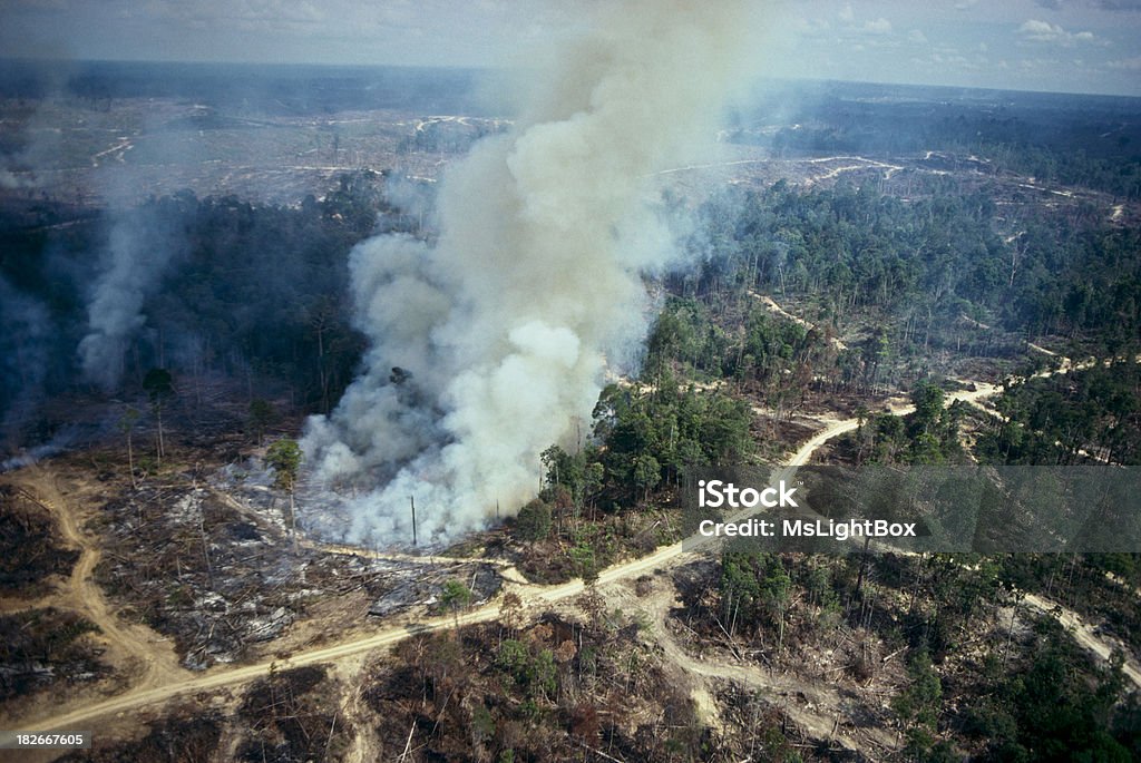 Réchauffement de la planète - Photo de Déforestation libre de droits