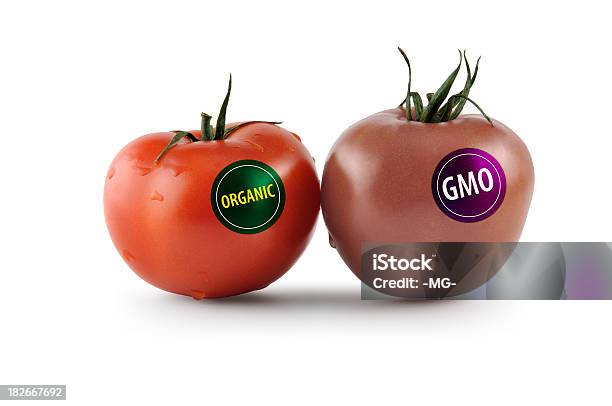 Organismos Geneticamente Modificados - Fotografias de stock e mais imagens de Modificação Genética - Modificação Genética, Etiqueta - Mensagem, Fruta