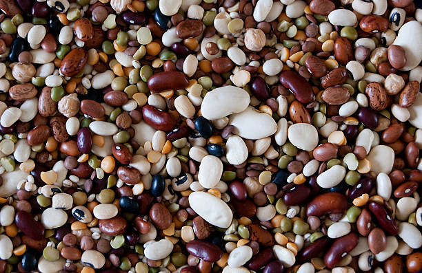 istock Variety of  Beans 182667738