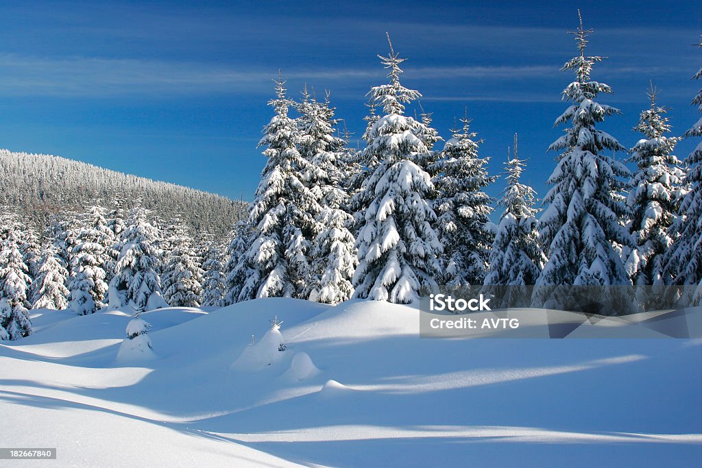Paisagem de Inverno XIV - Royalty-free Abeto Foto de stock