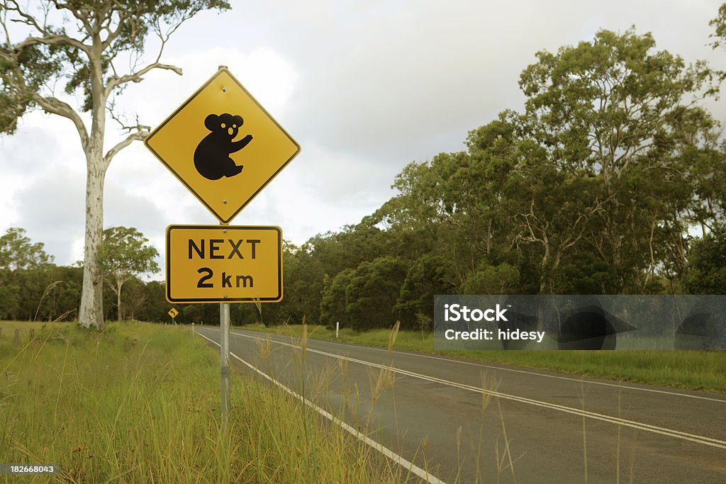 Miss the Koala "Koala warning road sign, next to a highway.Canon 1ds Mark II, 24-70f2.8 L Lens" Animal Stock Photo