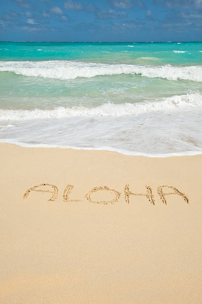 istock Aloha-Welcome to Hawaii! 182668166
