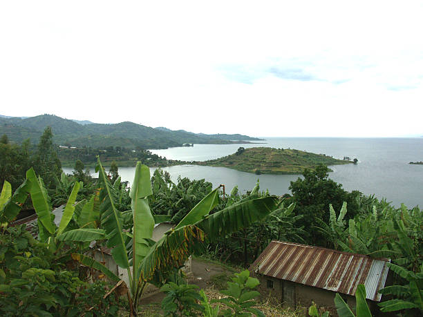 Landscape in Rwanda Landscape in Rwanda at Gysenyi Lake Kivu lake kivu stock pictures, royalty-free photos & images