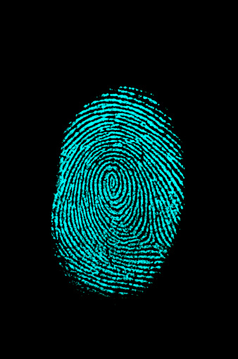 Teal blue fingerprint. Isolated on black background.Other crime and forensics shots: