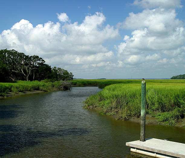 istock Marsh and boat dock on Sapelo Island Georgia 182668558