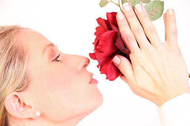 istock Kiss to a rose 182668753