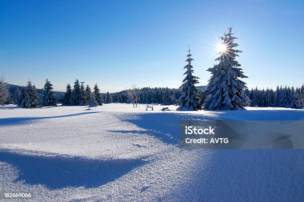 Winter Sun V Stockfoto und mehr Bilder von Schnee - Schnee, Tannenarten, Abenteuer