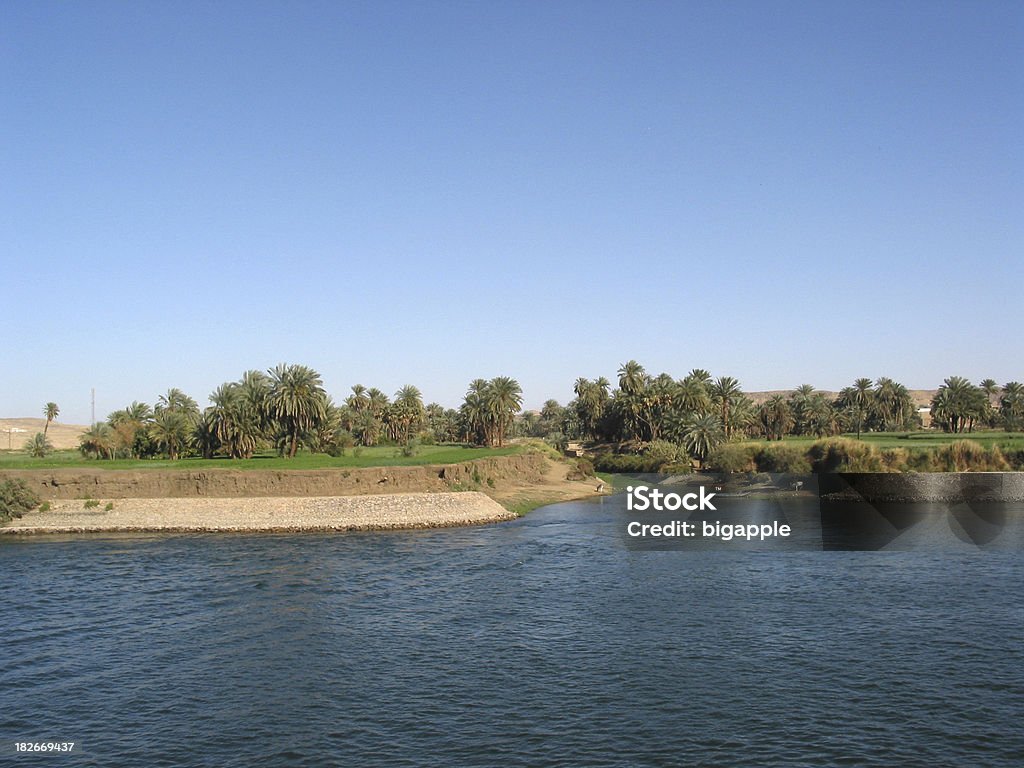 Farmland lungo il Nilo, Egitto - Foto stock royalty-free di Acqua