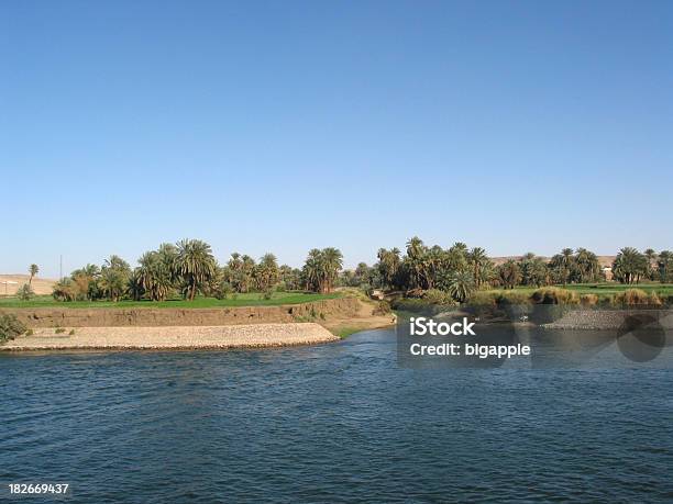 Farmland Lungo Il Nilo Egitto - Fotografie stock e altre immagini di Acqua - Acqua, Agricoltura, Asia Occidentale