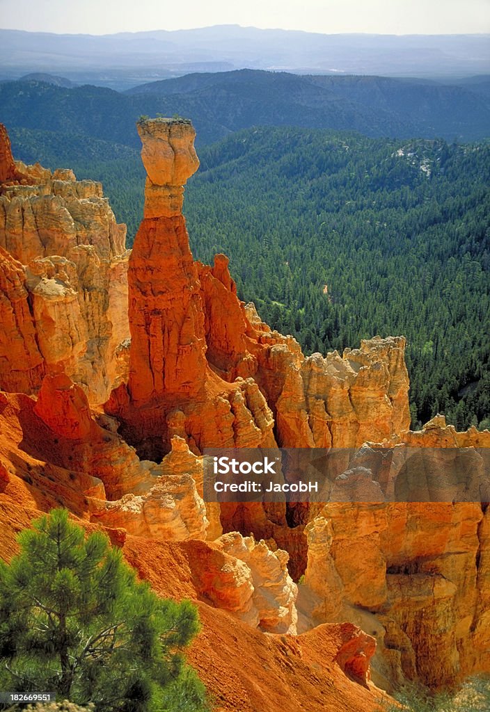 Hoodoo, Bryce Canyon A nice hoodoo formation in red rock Bryce CanyonAll Bryce images: Bryce Canyon Stock Photo