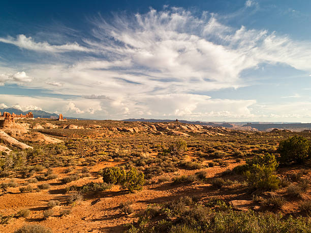 Canyon horizon in summer