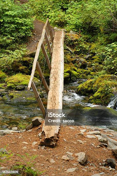 Ponte Di Registro Su Flusso - Fotografie stock e altre immagini di Albero - Albero, Area selvatica, Attesa