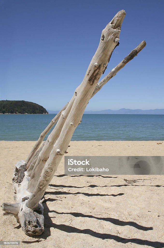 Driftwood en la playa - Foto de stock de Agua libre de derechos