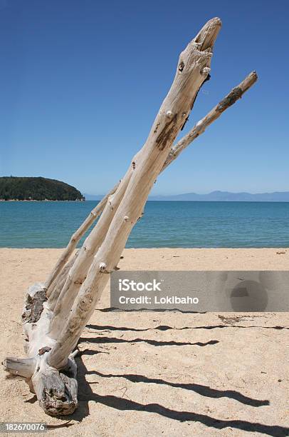 Driftwood En La Playa Foto de stock y más banco de imágenes de Agua - Agua, Aire libre, Amarillo - Color