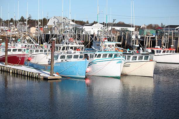 istock Fishing boats 182670211