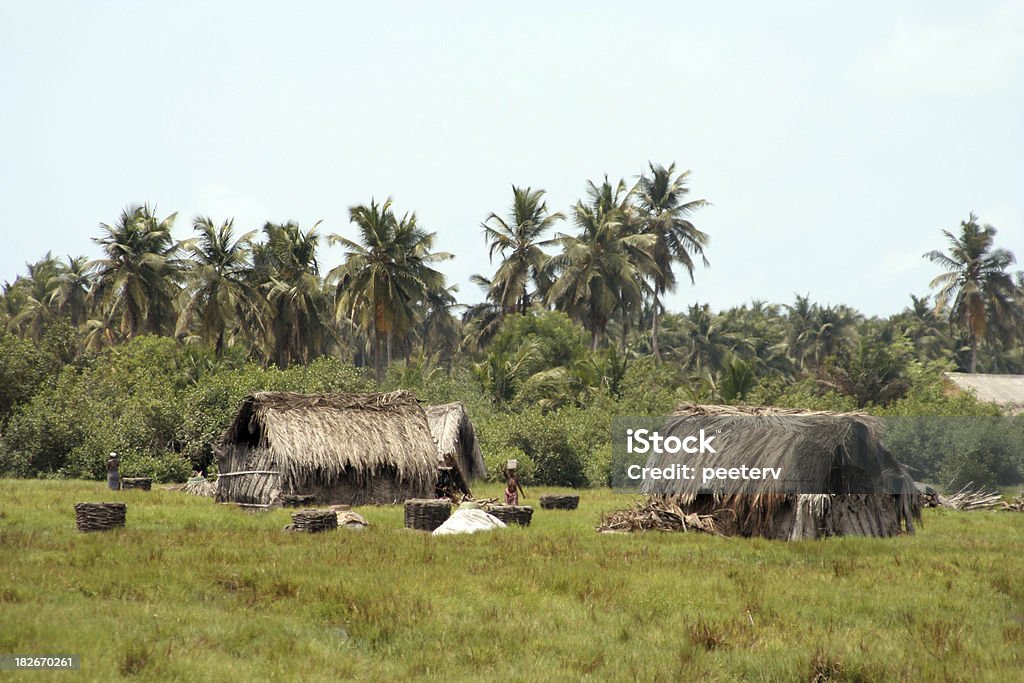 african laguna village - Foto de stock de Adulto libre de derechos