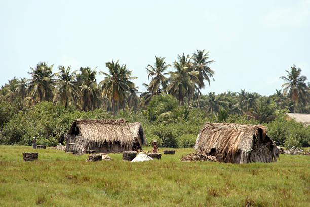istock african lagoon village 182670261