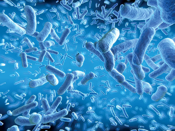 Bacteria cloud Inside microorganism cloud bacterium stock pictures, royalty-free photos & images