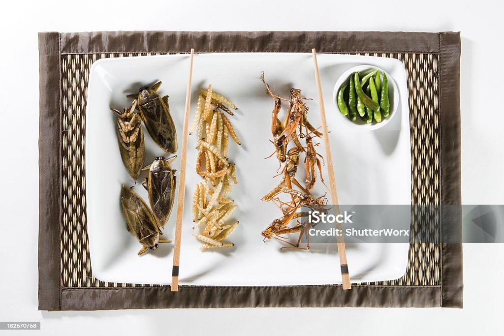 Fried Bugs Fried Insects Being Served On A Plate. Other Fried Insect Shots: Animal Stock Photo