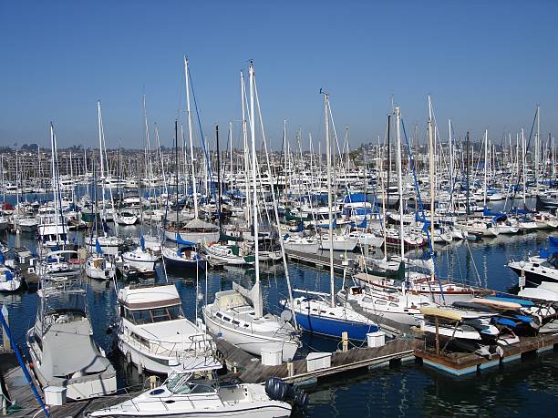 White field of boats stock photo