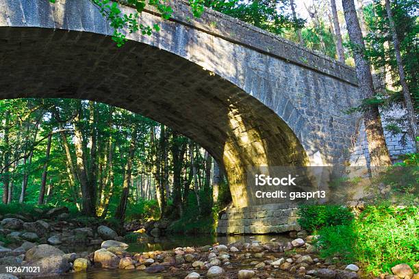 Stony Puente De Arcos Foto de stock y más banco de imágenes de Agua - Agua, Boscaje, Característica arquitectónica