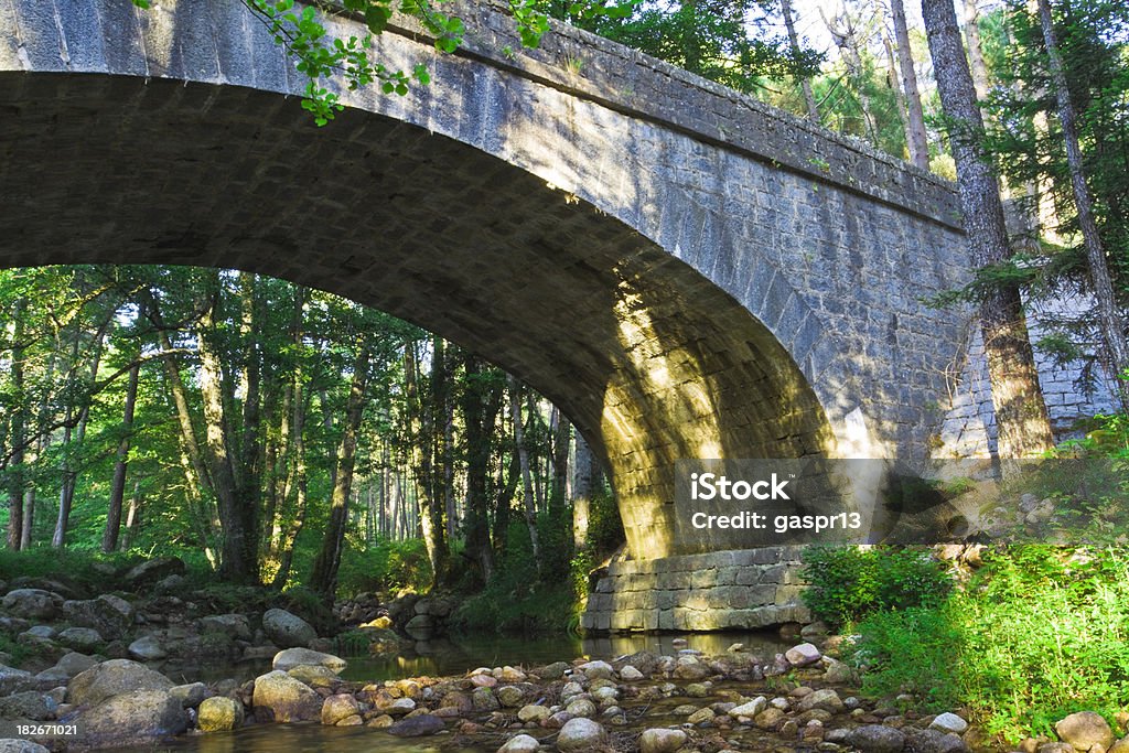 stony arch bridge - Foto de stock de Abaixo royalty-free