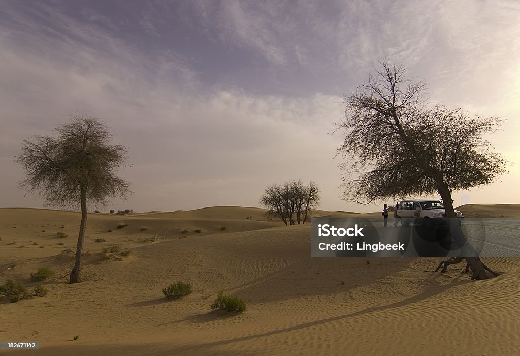Сафари по пустыне - Стоковые фото 4х4 роялти-фри