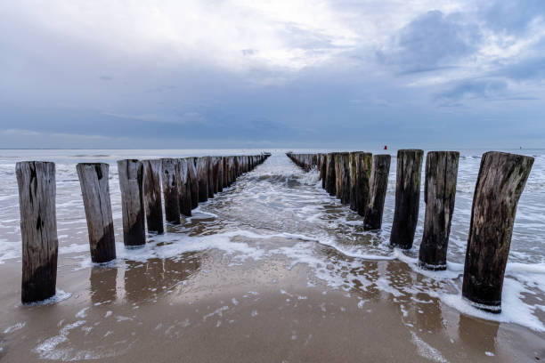 istock wooden groyne 1826712237