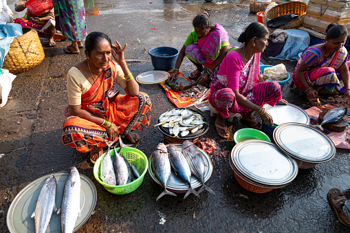 22nd January, 2020 - Mumbai, India: This editorial image vividly captures the bustling activity at Sasoon Docks, one of Mumbai's oldest and most vibrant fishing docks. The photograph showcases a typical day at the docks, teeming with fish sellers, fishermen, and customers. Fishermen are seen hauling in their fresh catch, while sellers busy themselves displaying a variety of fish and seafood on makeshift stalls. Customers, ranging from local residents to restaurant owners, navigate through the crowded space, selecting the freshest catch for purchase. The image aims to convey the lively atmosphere and the integral role Sasoon Docks plays in Mumbai's maritime industry and local culture, highlighting the hard work and community spirit that defines this bustling marketplace.