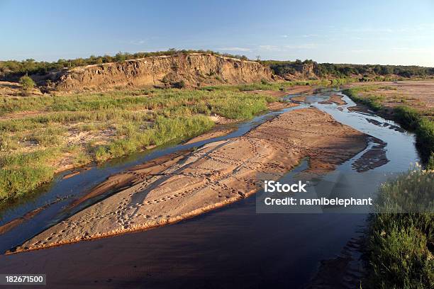 Olifants River Stock Photo - Download Image Now - Africa, Animal Wildlife, Blue