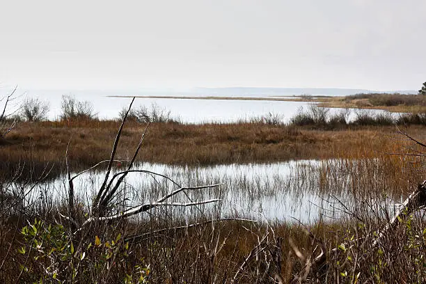 Photo of Chesapeake Bay estuary in autumn