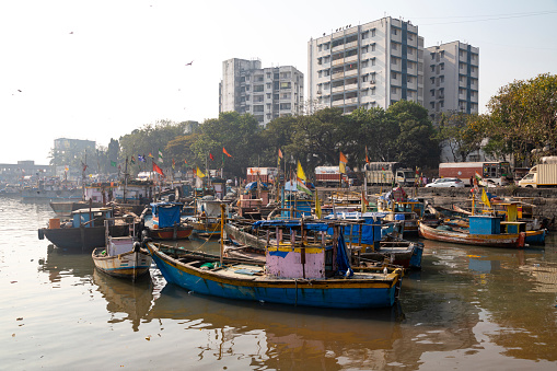 22nd January, 2020 - Mumbai, India: This editorial image vividly captures the bustling activity at Sasoon Docks, one of Mumbai's oldest and most vibrant fishing docks. The photograph showcases a typical day at the docks, teeming with fish sellers, fishermen, and customers. Fishermen are seen hauling in their fresh catch, while sellers busy themselves displaying a variety of fish and seafood on makeshift stalls. Customers, ranging from local residents to restaurant owners, navigate through the crowded space, selecting the freshest catch for purchase. The image aims to convey the lively atmosphere and the integral role Sasoon Docks plays in Mumbai's maritime industry and local culture, highlighting the hard work and community spirit that defines this bustling marketplace.