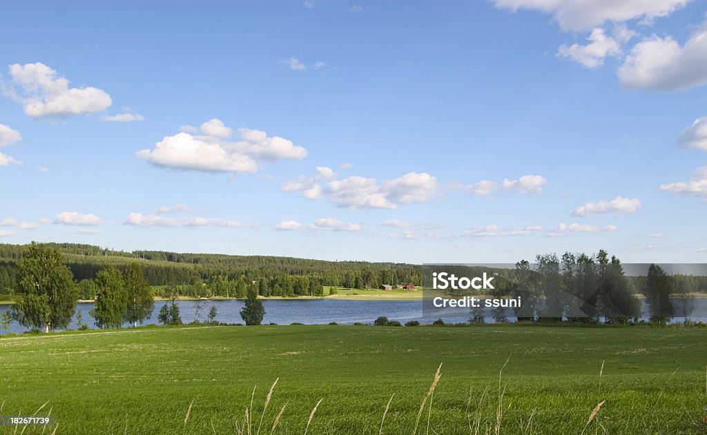 Verde y azul - Foto de stock de Abierto libre de derechos